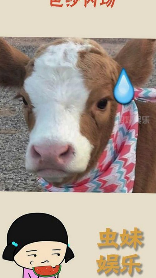 娱乐圈动态风云：明星关系与转折背后的真实故事