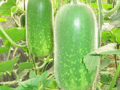 姐姐礼物惊喜背后：一段复杂兄妹情的时间线回顾